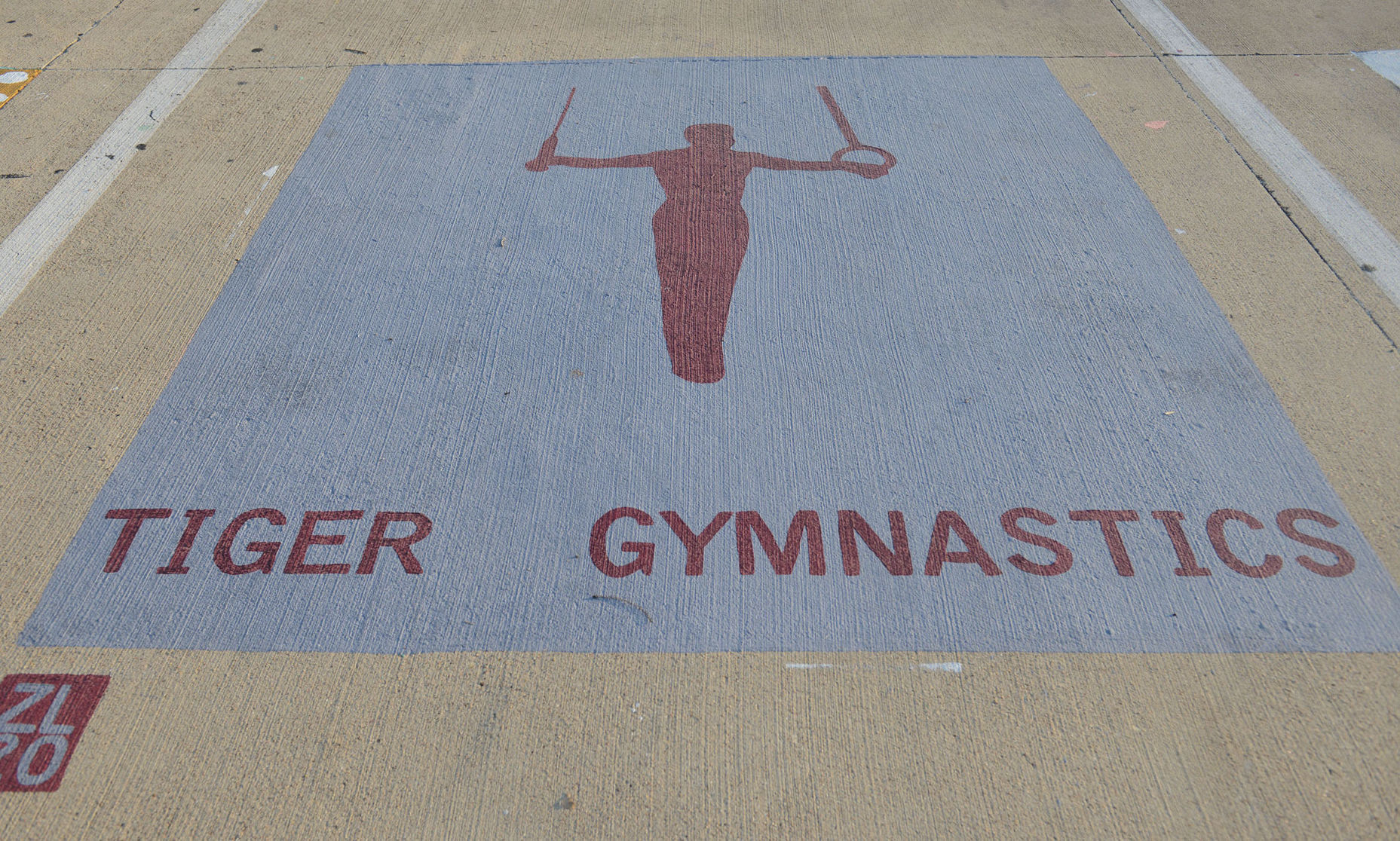 A&M Consolidated HS painted parking spots